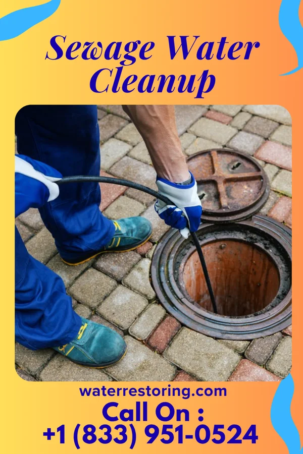 Sewage Water Cleanup in Forest City, FL